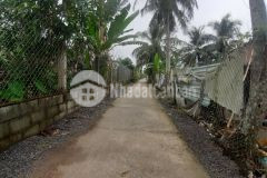 Bán 2công đất ấp 4,tam hiệp,châu thành,tiền giang