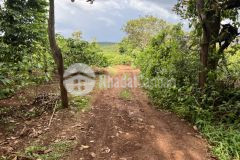 Đất cư mgar, full cà phê, đất bazan, gần ql29, chỉ 129 tr