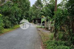 Bán 230m2 đất mặt tiền lộ cái chanh, đông thạnh, châu thành, hậu giang