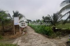 Bán 1,1công đất ấp 3,tam hiệp,châu thành,tiền giang