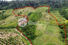 3 6 mẫu giáp suối gần thị trấn hơn 200 triệumẫu