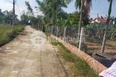 Chính chủ cần bán vườn 1000m2 view đồng