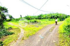 Bán 2000m2 đất cln tại sông thao trảng bom shr