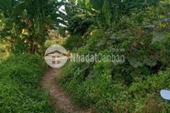 Bán đất mặt tiền đường 7 5m 22m