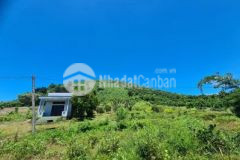 Đất chính chủ 12 356m2 300m thổ cư mt 65m