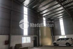 Bán nhà xưởng kcn biên hòa 2 10000m2