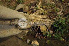 Bán đất đường lô 2 ấp 7 lê mình xuân 500m2