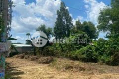 Đất 9x35 mặt tiền đường nhựa tân hưng tp bà rịa