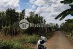 Đất hoà xuân gần ngay ub và trường học