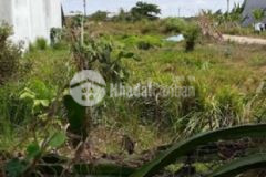 Đất nền trạm cân lộc hòa đường số 1 quẹo phải