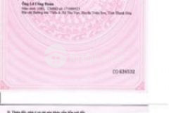 2 nền đường d8 cặp bên khu khai trí đang xây dựng