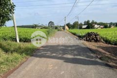 Bán mảnh vườn 1000m2 đường nhựa thị trấn vĩnh an