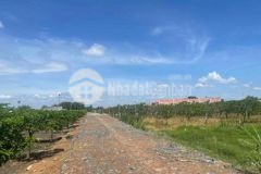 Chính chủ bán lô đất ngay chợ bàu bắc giá cực ngộp