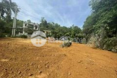 Chỉ 1 25tỷ sở hữu 600m2 đất thổ cư lương sơn hb