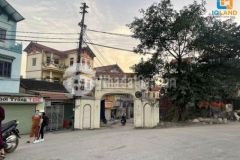 Đường trục chính xã hải bối kinh doanh oto tránh