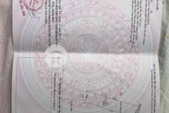 10x48 100m thổ cư xây trọ xây kho gì cũng ngon