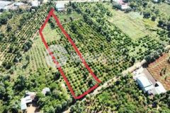 Đất 39m mặt tiền gần chợ ia bă giá 25trmét