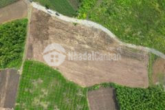 Bán đất xào giá rẻ cạnh khu công nghiệp đất đỏ