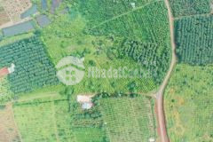 Đất vườn sẵn sổ giá 370tr1 9 sào chợ kiến đức 6km