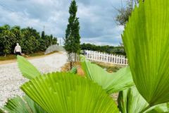 Lô đất ngay trường học đã được trải nhựa ngang 10m