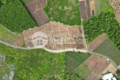 Bán khu đất vườn sinh thái huyện đất đỏ sổ riêng