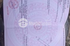 Đất 1000m2 xã minh hoà huyện dầu tiếng sổ riêng