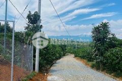 Chủ gửi lô đất 6 xào giá tốt còn thương lượng thêm