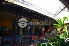 Bán biệt phủ 1000m2 đất mặt phố chính ba đình