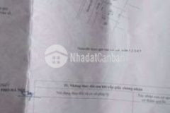 Cần bán 87 2m2 đấu giá xã thanh xuân sóc sơn hn