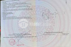 5x50 100 thổ cư đường nhựa thông visip2