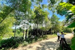 Mặt tiền hương thọ view sông hương