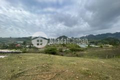 Cần tiền bán nhanh mảnh đất 1,5ha tại mộc châu, giá chỉ 2xx triệu