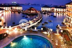 Bán nhà phố từ hoa view hồ tây, 310m2, 4 tầng, 158 tỷ