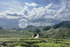 Đất nền vân hồ,view đồi chè,vị trí đắc địa gần điểm du lịch, giá rẻ giật mình.