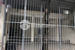 Cho thuê nhà mặt tiền đường lương văn can.hướng đông nam.