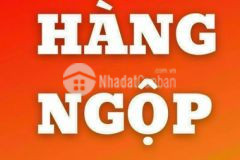 Chủ ngộp cần bán 60m2 đất đường 645 lê văn việt q9