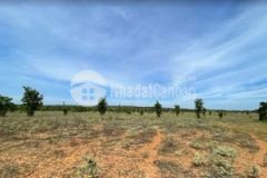 1ha đất bắc bình hòa thắng siêu rẻ mặt tiền 125m