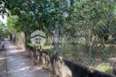 Đất vườn phu đưc châu thanh bên tre