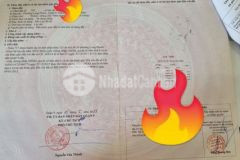 Đất đường 8 long phước giá ngộp thở