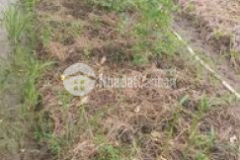 Dat mat tien đường tỉnh 901 gia re