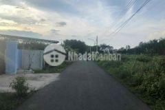 7 08x21 80m thổ cư đường nhựa thông