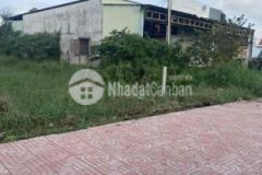 Bán gấp để trả nợ vì banh bóng