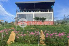 Bán đất view suối xã lộc đức bảo lâm lâm đồng