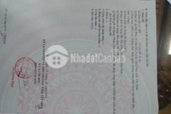 Bán đất thổ cư xã tân hội chính chủ