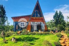 Bán gấp mặt tiền đường nhựa xã nam hà giá 3trm2