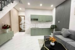 Nhà 2 tầng kiệt lê độ cách kiệt ô tô 10m