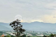 Đất ngộp ngân hàng bán giá 1 4trm2 xã nam hà