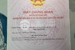 Cần tiền gấp cần bán gấp nhà sát trường hoà hưng