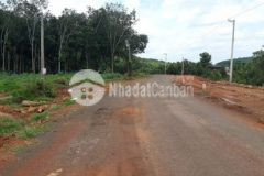 Chính chủ đất xào tân phước đồng phú