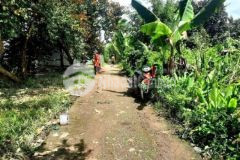 Nền 459tr phong điền cần thơ